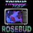 Taurus 1984, Final Djs