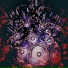 Aceox