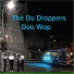 The Du-Droppers