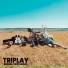 Triplay