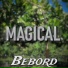 BEBORD