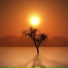 Noreen Imtiaz
