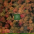 Beats for Trees feat. Bobby Dreamz BIG