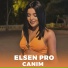 Elsen Pro