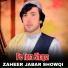 Zaheer Jabar Showqi