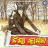 Hrudananda Sahoo