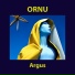 Ornu