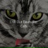 Jazz Music for Cats, RelaxMyCat, Cat Music