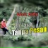 Amriz arifin