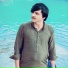 Gull Mashom