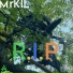 Mr.KIL