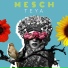 Mesch