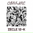 ZECLE 12-K