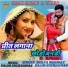 Shilpa Bidawat, Salim Shekhawas