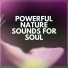 Soft Soundscapes
