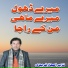 Nazeer Ejaz Faridi