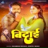 Chandan Chahal, Savita Yadav