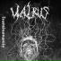 Walrus