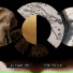 The Foils