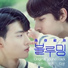 다운 DAUN