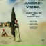 Andrei Voica