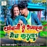 SHYAM TIGER