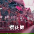 小vie