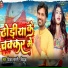 Vijay Bharti Bijuaa