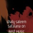 Ghaly Saleem