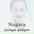 Gulaga Quliyev, Seymur Kerimov