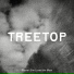 Treetop