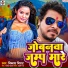 Vikas Virath