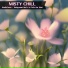Misty Chill