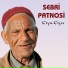 Sebri Patnosi