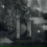 Veldraveth