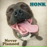 Honk