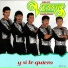 Grupo Vennus