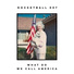 Rocketball 007