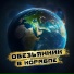 Обезьянник
