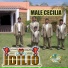 Grupo Idilio