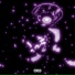 Yung Pluggz