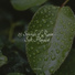 Weather Factory, Kundalini: Yoga, Chillout Lounge