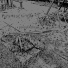 prom0etheus