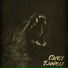 Casey Daniels Band