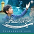 Zulqarnain Hadi