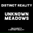 Distinct Reality