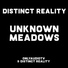 Distinct Reality