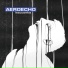 Aeroecho