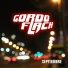 Gordo Flach