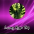 lương ngọc thọ